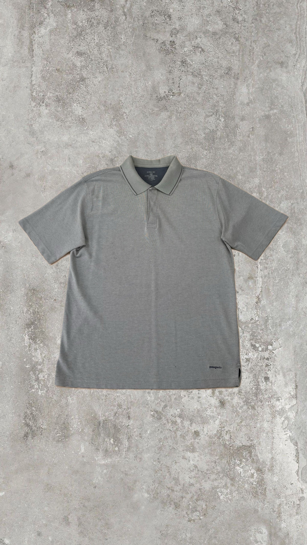 Polo Patagonia Uomo Grigio Chiaro – Regular Fit